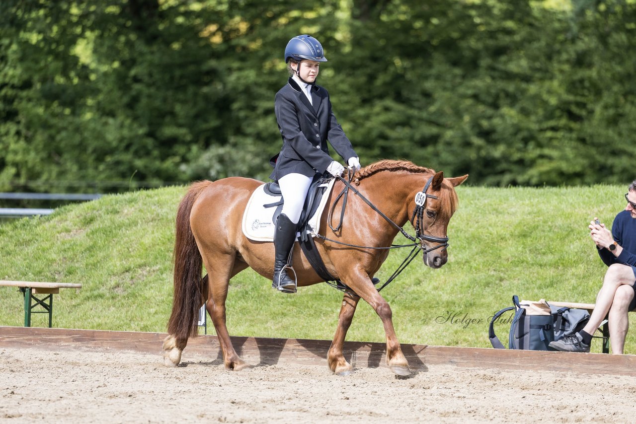 Bild 252 - Pony Akademie Turnier